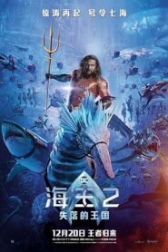 Aquaman 2 (Hindi)
